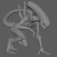 maya_IgMZyhnH9a.png Xenomorfo alienígena (pose2)