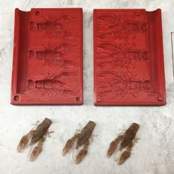 NED Craw-01.jpg STL file Ultralight Ned Craw Soft Plastic Fishing Mold・3D printing template to download