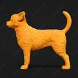 3578-Chihuahua_Smooth_Coat_Pose_01.jpg Chihuahua Smooth Coat Dog 3D Print Model Pose 01