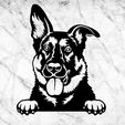 jnkjk.jpg German shepherd DOG WALL DECOR WALL DECOR WALL HOUSE PET REALISTIC MASCOT DOG DECO WALL HOUSE