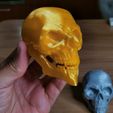 Crânio articulado com mandíbula móvel - Impressão no local, sem suportes a404