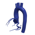 4.png 主动脉和冠状动脉 3D 模型 - 6 件装