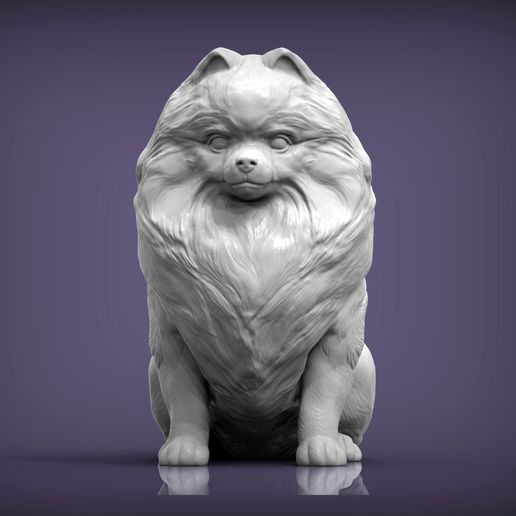 Pomeranian6.jpg Archivo 3D Modelo de impresión 3D de pomerania・Objeto imprimible en 3D para descargar, akuzmenko