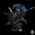 3.png Xenomorph Bust - Alien Fan Art