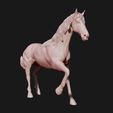 07.jpg American Quarter Horse model 3D print model