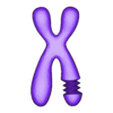 Body4.stl Chromosome