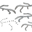 Fungal_Matcap.png Fungal Cell Structure