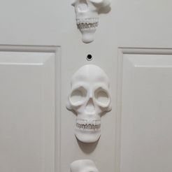 Skulls.jpg Skull Wall Decor