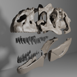 untitled7.png Allosaurus Skull 3d print Model 34 CM