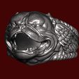 6.jpg 3D Exotic Bully Ring