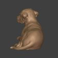 I18.jpg Dog - Labrador Statue