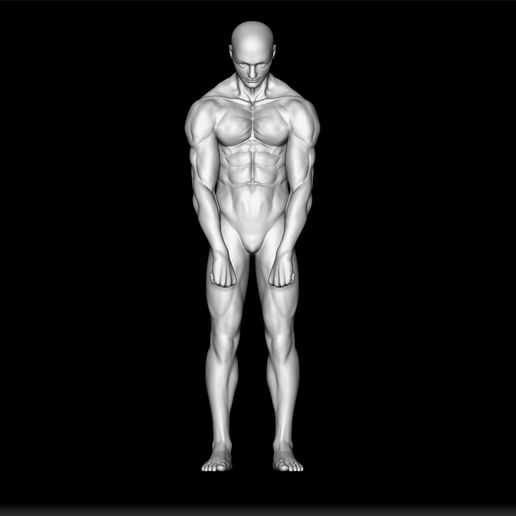 ♂️ 男性解剖雕塑- 男性人体模型- 男性身体STL - 解剖学3D 打印- 男性