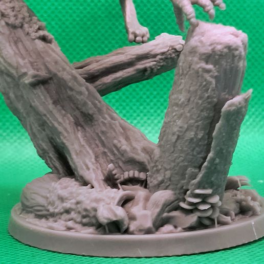 IMG_20250725_094559100_AE.jpg Gryphon