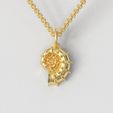Project-0307-A.jpg Shell Pendant