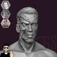 ref_-image170.png T800 - Arnold Schwarzenegger Terminator