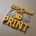 Tiemen_Deschacht_3Dprint