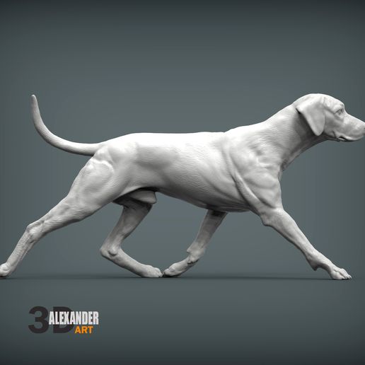 rhodesian-ridgeback-running4.jpg rhodesian ridgeback running 3D printed model