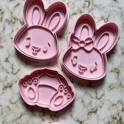 WhatsApp-Image-2023-03-21-at-5.53.16-PM.jpeg EASTER BUNNY CUTTER AND STAMP - RABBIT CUTTER