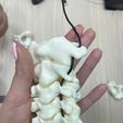 model-1.jpg Archivo STL El modelo de la columna cervical C1-C7 con una parte del cráneo・Modelo para descargar y imprimir en 3D