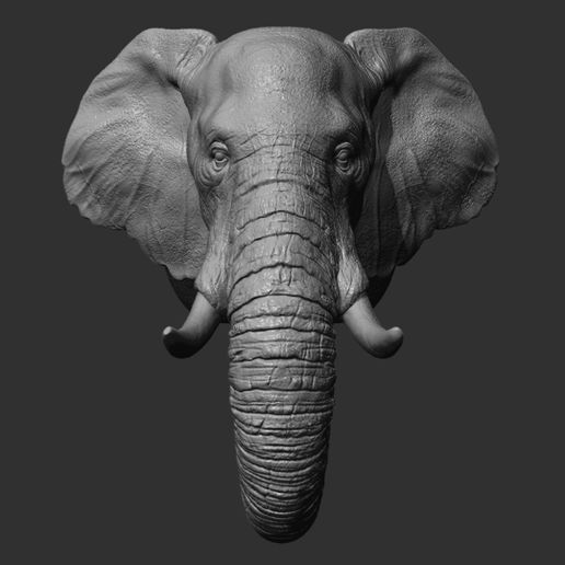 39.jpg Descargar archivo OBJ Cabeza de elefante • Plan para imprimir en 3D, guninnik81