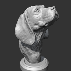 01.png Beagle Head AM04 3D print model