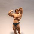 Arnold Schwarzenegger Modèle 3D prêt à être imprimé Modèle d'impression 3D Modèle d'impression 3D