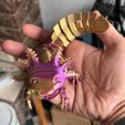 Bezaubernder Axolotl mit Gelenk, bedruckter Körper, einrastbarer Kopf, niedlicher Flexi