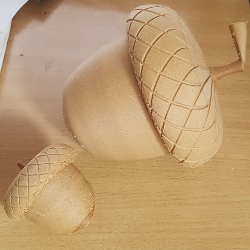 20190529_152937.jpg Bellota - Nueces - Nueces