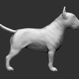 2.jpg English BullTerrier 3D Model .STL