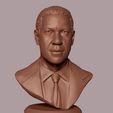 19.jpg Denzel Washington 3D Portrait