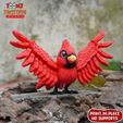 j.jpg Print In Place Cute Flexi Cardinal Bird