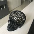 IMG_3134.JPG Voronoi skull