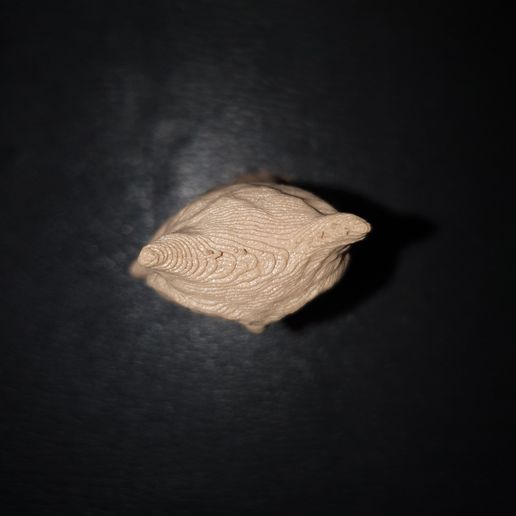 20190810_125910.jpg 3 modelos de búho (escanear con el teléfono, procesar con (recapitular la foto) en el PC)