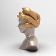 Medusa-gorgon-(3).jpg Medusa Gorgon pot stl
