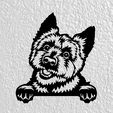 Sin-título.jpg Yorkshire Terrier dog deco wall pet pet mural dog wall decorations