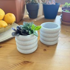 IMG_1383.jpg Tabletop Wall Mount Planter Vase with Drip Tray