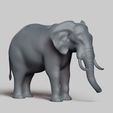 R03.jpg elephant pose 02
