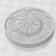 WhatsApp-Image-2024-03-15-at-4.28.03-PM.jpeg Leaf Dish / Mold