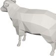 10007.jpg sheep animal