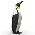 5.jpg king penguin