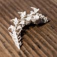 _DSF6862.jpg Dragon's spine