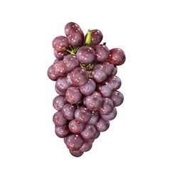 00.jpg Grape VEGETABLE Grape STACK BREAD FRUIT TREE FOREST FLOWER PLANT FOOD DRINK JUICE NATURE VEGETABLE PASTRY Bread
