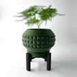 misprint-7995.jpg The Dorvin Planter Pot with Drainage | Modern and Unique Home Decor for Plants and Succulents  | STL File