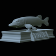 Pike-statue-19.png fish Northern pike / Esox lucius statue detailed texture for 3d printing