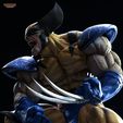 Wolverine_TanukiFigures_06.jpg Wolverine - X-Men