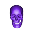 OBJ2 together-skull.obj 3D Human Skull - Cap, Mandible