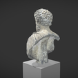 Capture d’écran 2017-11-13 à 14.32.41.png Battleship bust of Marc Aurelius aged