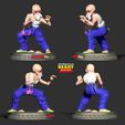 4side.jpg Master Roshi - Ready to fight