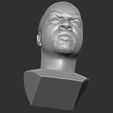 23.jpg Ice Cube bust 3D printing ready stl obj formats
