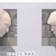 9.jpg Putin and Trump illusion vase